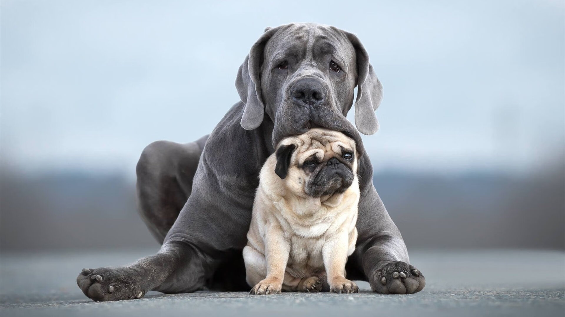 爱游戏体育在线赛事-夺冠“密码”:那些最具冠军潜质的球队盘点,夺冠最多的球员